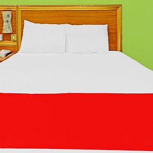 Kamer met een King Size Bed